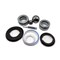 Bedford Precision Parts Bedford Precision Kit - 220cc Xtreme 900 for Graco 20-3009 - alternate 1